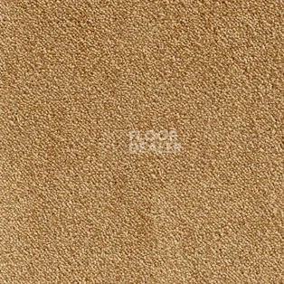 Ковролин AW Strada 48 фото 1 | FLOORDEALER